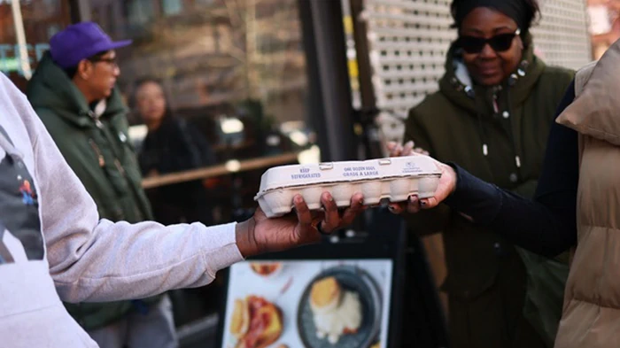 В США цены на яйца достигли нового рекорда — СМИ