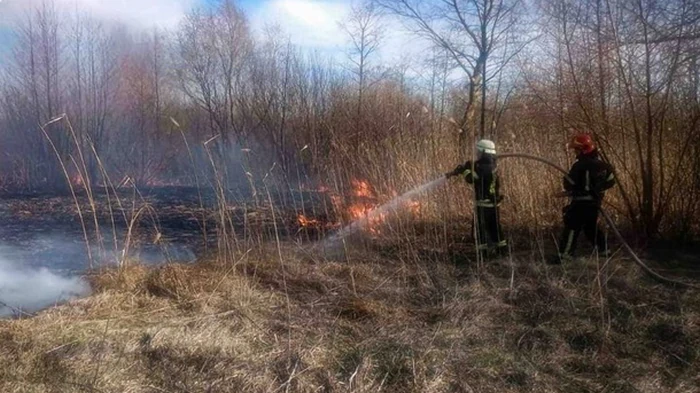 В Киевской области двое человек погибли из-за сжигания сухой травы