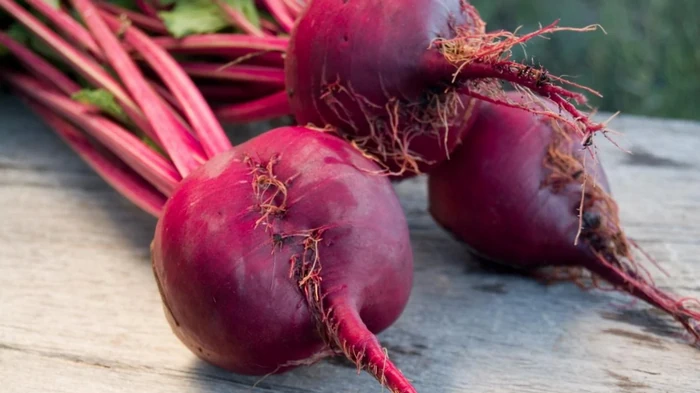 В Украине ажиотаж вокруг свеклы: сколько стоит сейчас килограмм