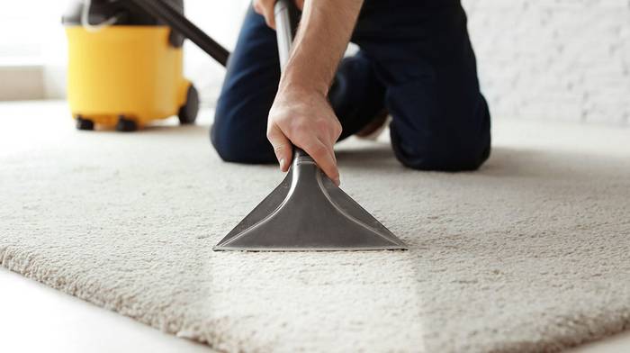 Когда и почему нужна химчистка ковра