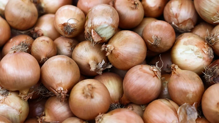 В Украине существенно дорожает лук: сколько сейчас стоит килограмм