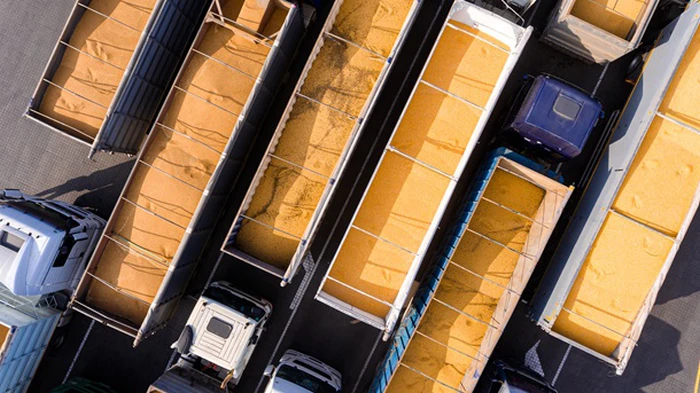 Украина существенно сократила экспорт зерна