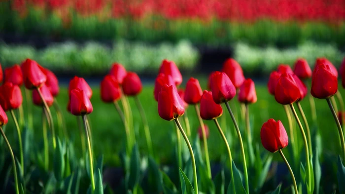 Гороскоп на неделю: для всех знаков зодиака