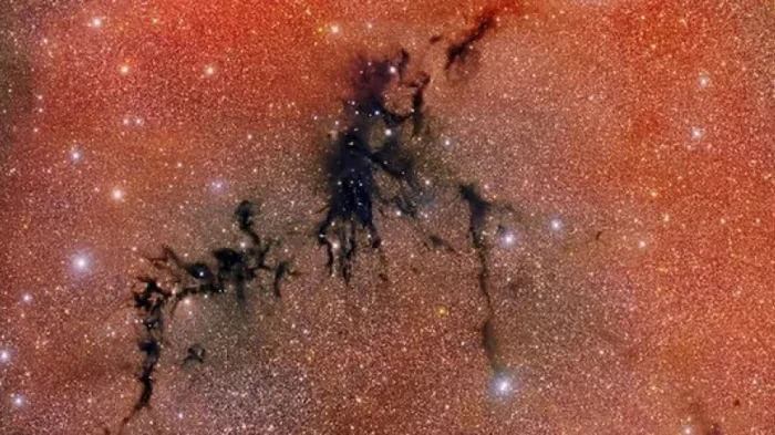 Астрономы изучили темную туманность и обнаружили, как сформировалась Солнечная система (фото)