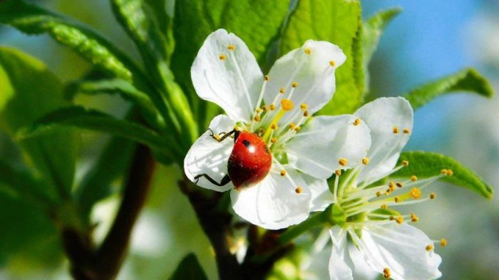 Май начнется с холода? Синоптик объяснила, какой будет погода завтра в Украине