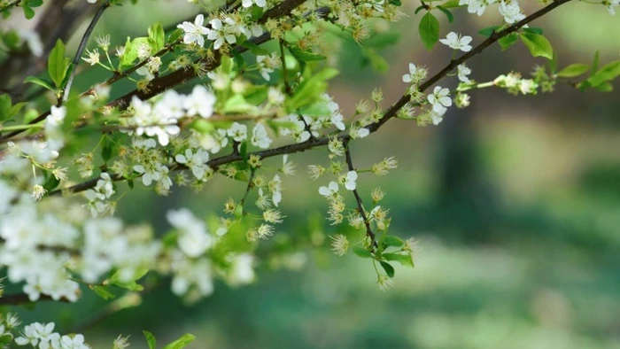 Праздник сегодня, 5 мая: что нельзя делать и народные приметы
