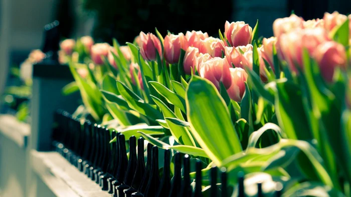 Гороскоп на неделю: для всех знаков зодиака