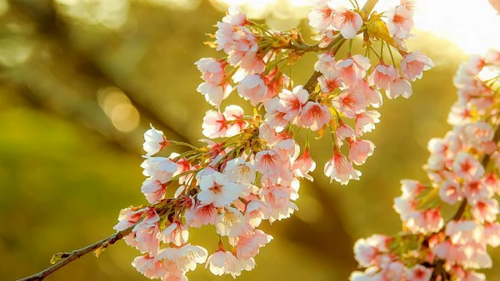 Праздник сегодня, 20 мая: что запрещено делать, народные приметы, у кого День ангела