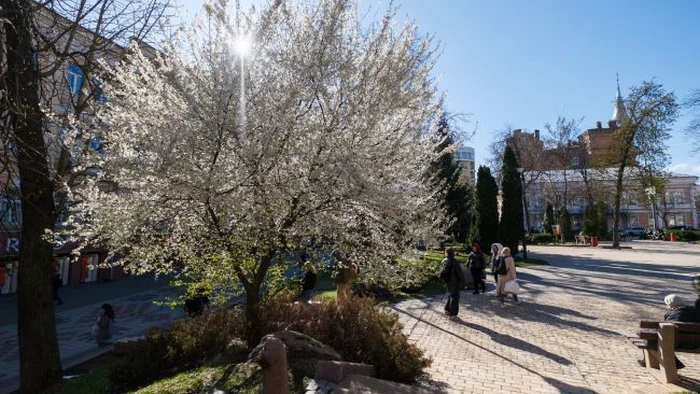 В Украину идут дожди и перепад температур: где завтра будет холоднее всего, а где до +29