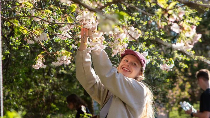 Погода на 22 мая и День Киева: синоптик предупредила о возможных ливнях