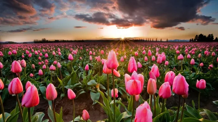 Праздник 24 мая: что сегодня нельзя делать, приметы дня и именины