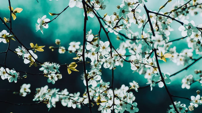 Праздник сегодня, 22 мая: что нельзя делать и народные приметы