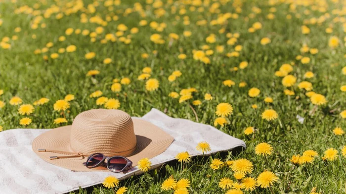 Какая будет погода в июне: прогноз синоптиков