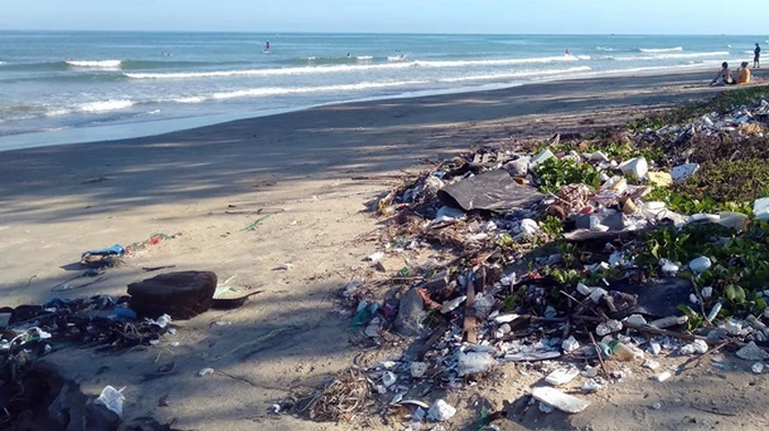 Микропластик в пище вредит печени и нарушает обмен веществ — исследование