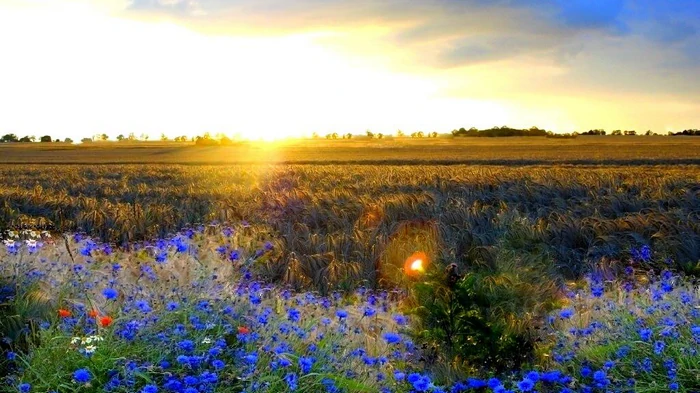 День Святого Духа 2025: что нельзя делать на этот праздник, народные приметы