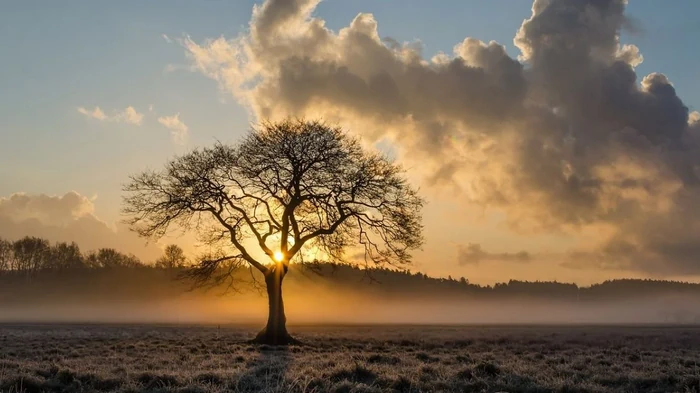 Грозы и засухи: Укргидрометцентр дал прогноз на самый жаркий месяц года