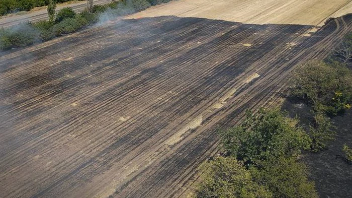 В Николаевской области выгорело 50 га пшеницы