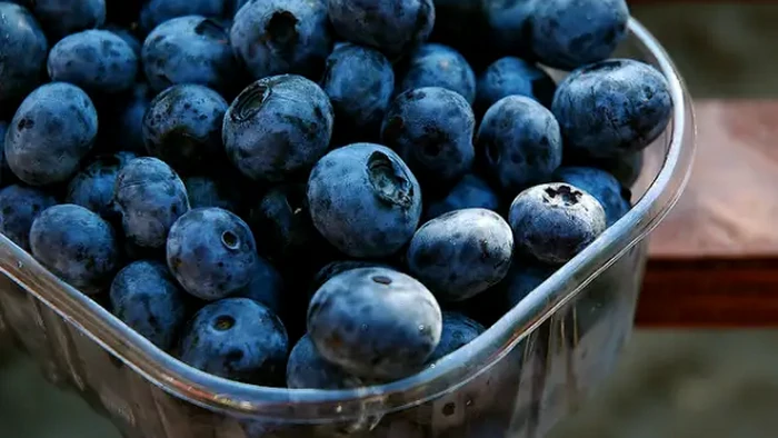 На прилавках появилась украинская голубика: цены на ягоду космические