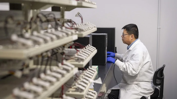 Ученые разработали эффективный и экологичный метод переработки батарей