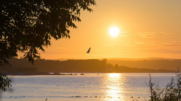 Июль стал третьим самым жарким за всю историю наблюдений