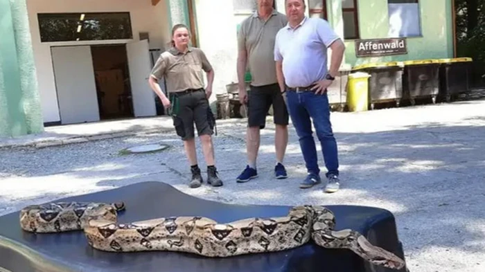 В Германии женщина нашла 2,5-метрового удава