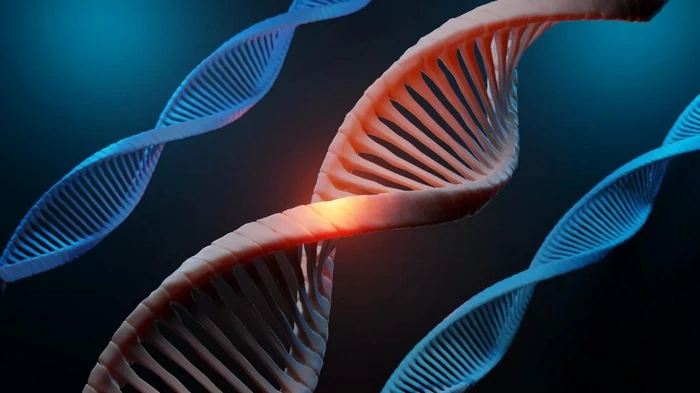 Ученые ответили на главную загадку появления жизни на Земле