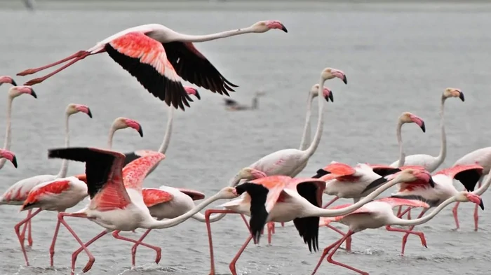 Секрет замедленного старения все время скрывался на виду: ученые отыскали его