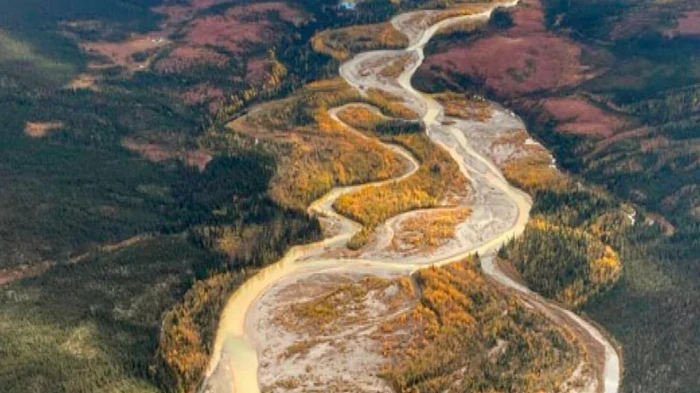 Почему реки Аляски стали оранжевыми: ученые предупредили о необратимых изменениях в природе