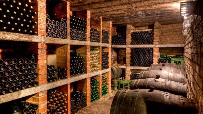 Французское вино под вопросом: виноградники пострадали из-за засухи и лесных пожаров