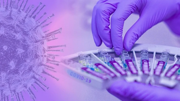 Смертельный вирус снова распространяется: симптомы, смертность и меры безопасности