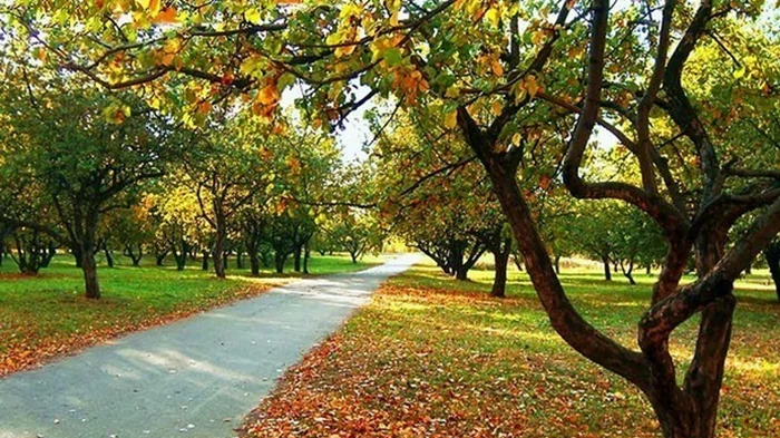 Выходные в Украине будут тёплыми