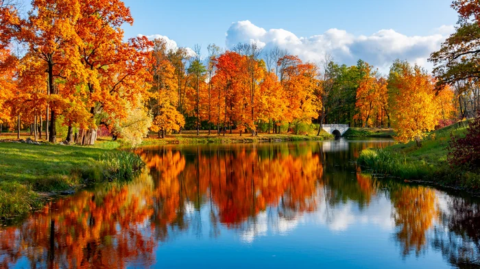 Гороскоп на неделю: для всех знаков зодиака