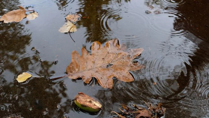 Не только дождь и ветер: синоптики рассказали, где украинцам ждать снегопад 19 октября