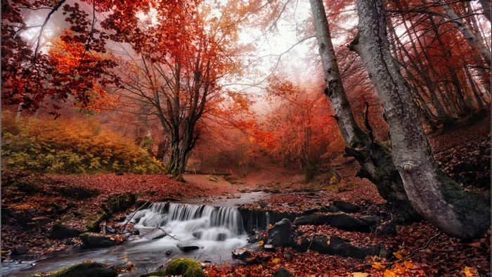 Гороскоп на неделю: для всех знаков зодиака