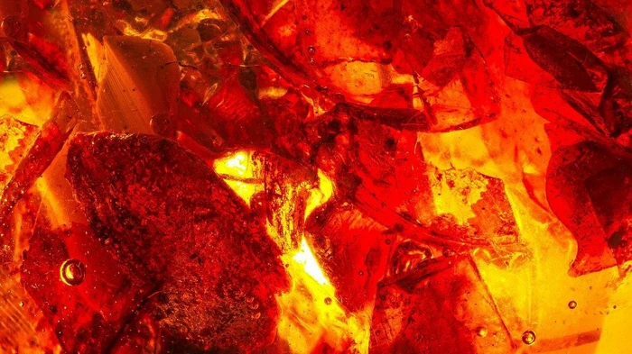 Выявлена янтарная «капсула времени» с насекомыми в возрасте 112 млн лет