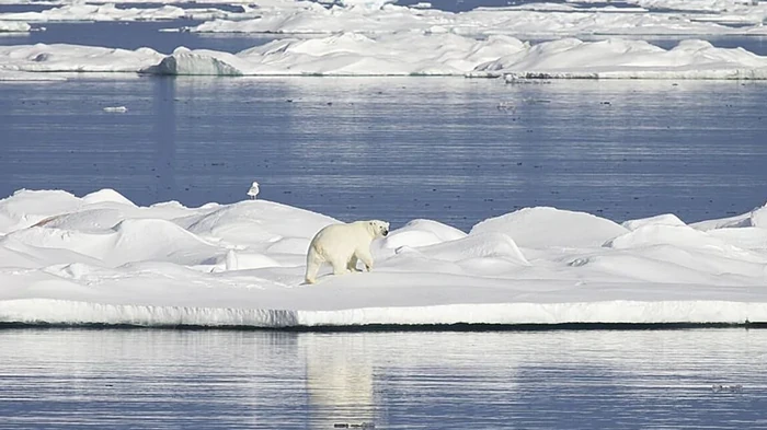 Климатическая система Арктики перешла в экстремальный режим: найден механизм запуска