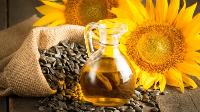 Можно ли есть семечки, когда хочешь похудеть