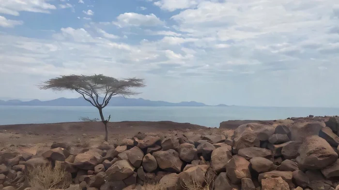 Тайна раскола континентов: почему некоторые участки земной коры достаточно прочны, а другие нет