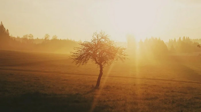 Человечество вошло в коридор самых жарких лет в истории, — ученые