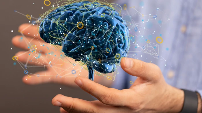 Разрушают мозг и память: ученые назвали две ежедневные привычки, которые «убивают» наш интеллект