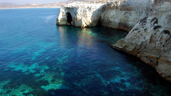 В Средиземном море появились токсичные водоросли: может ли ядовитая рыба попасть на вашу тарелку