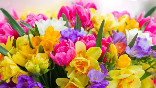 Гороскоп на неделю: для всех знаков зодиака