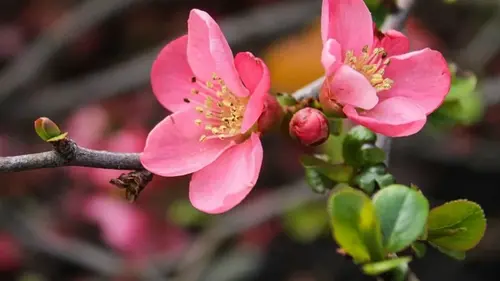 Финансовый гороскоп на неделю: кого из знаков Зодиака ждет прибыль 9 — 15 марта