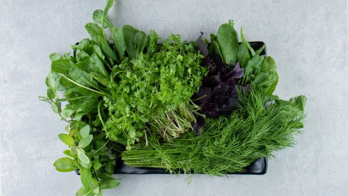 Эти 6 видов зелени стоит есть каждую неделю: польза для организма впечатляет
