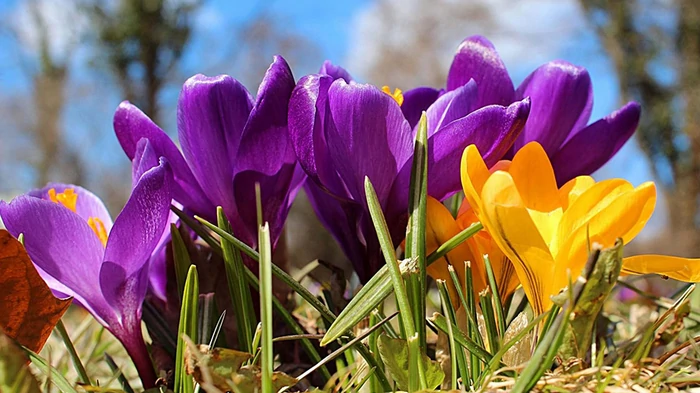 Гороскоп на неделю: для всех знаков зодиака