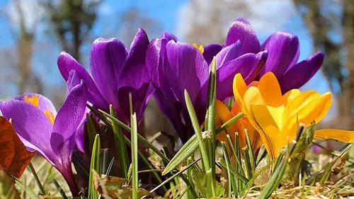 Гороскоп на неделю: для всех знаков зодиака