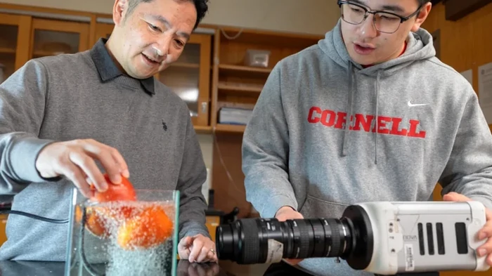 На 90% чище: разработан революционный способ мытья фруктов и овощей (видео)