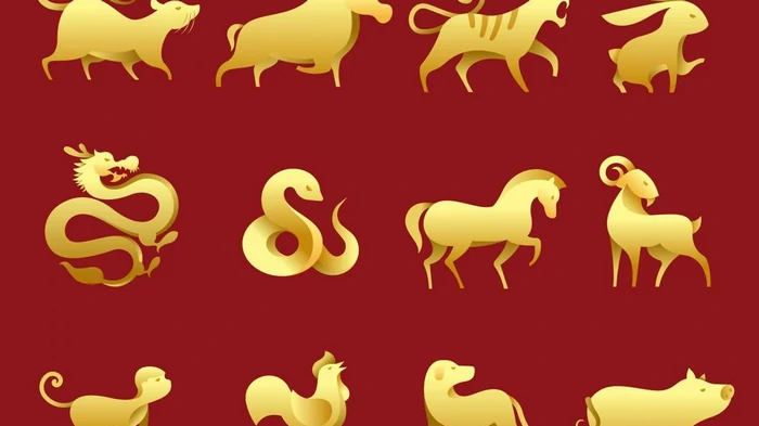 Только три китайских знака Зодиака ждет очень приятный сюрприз на этой неделе