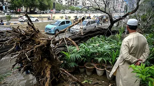 Сильные ливни в Пакистане привели к гибели шести человек
