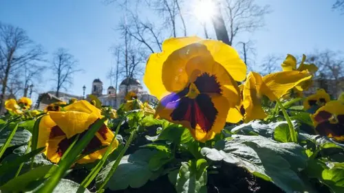 Март бьет рекорды: в каких городах Украины зафиксировали историче...